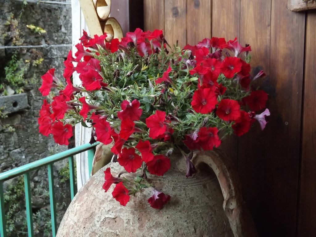 קסטיליונה די סיציליה Albergo Diffuso Borgo Santa Caterina "Vintage" מראה חיצוני תמונה